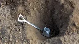 뉴베리 컬렉션 완독 북클럽 : HOLES